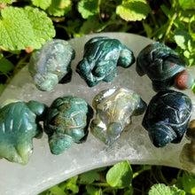 Load image into Gallery viewer, Mini Moss Agate Frogs & Turtles
