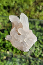 Load image into Gallery viewer, Raw Clear Quartz Cluster