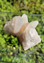 Load image into Gallery viewer, Raw Clear Quartz Cluster