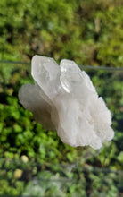 Load image into Gallery viewer, Raw Clear Quartz Cluster