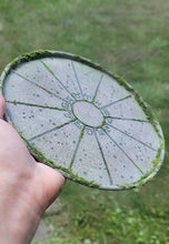 Load image into Gallery viewer, Mini Stone Moss Astrology Wheel