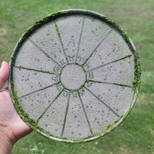 Load image into Gallery viewer, Mini Stone Moss Astrology Wheel