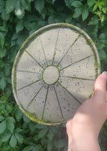 Load image into Gallery viewer, Mini Stone Moss Astrology Wheel