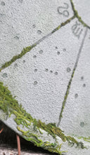 Load image into Gallery viewer, Stone Moss Astrology Wheel