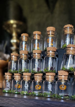 Load image into Gallery viewer, Ghost & Pumpkin Terrarium Homes