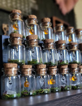 Load image into Gallery viewer, Ghost & Pumpkin Terrarium Homes