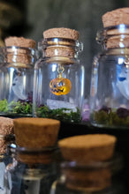 Load image into Gallery viewer, Ghost & Pumpkin Terrarium Homes