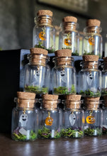 Load image into Gallery viewer, Ghost & Pumpkin Terrarium Homes