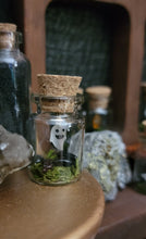 Load image into Gallery viewer, Ghost & Pumpkin Terrarium Homes