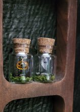 Load image into Gallery viewer, Ghost & Pumpkin Terrarium Homes