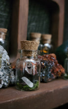 Load image into Gallery viewer, Ghost & Pumpkin Terrarium Homes