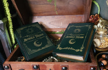 Load image into Gallery viewer, The Epic Fantasy of Sowilo Moon Book Box
