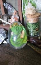 Load image into Gallery viewer, Dragon Egg Baby