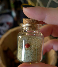 Load image into Gallery viewer, Jar of Dirt (with Red Agate Heart inside)