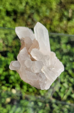 Load image into Gallery viewer, Raw Clear Quartz Cluster
