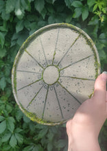 Load image into Gallery viewer, Mini Stone Moss Astrology Wheel
