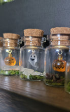 Load image into Gallery viewer, Ghost &amp; Pumpkin Terrarium Homes
