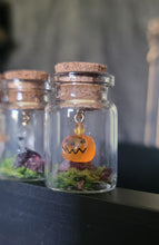 Load image into Gallery viewer, Ghost &amp; Pumpkin Terrarium Homes
