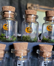 Load image into Gallery viewer, Ghost &amp; Pumpkin Terrarium Homes
