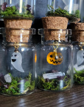 Load image into Gallery viewer, Ghost &amp; Pumpkin Terrarium Homes
