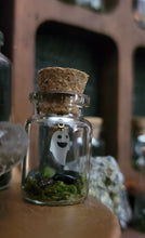 Load image into Gallery viewer, Ghost &amp; Pumpkin Terrarium Homes
