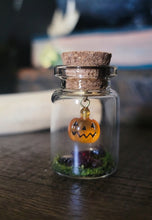 Load image into Gallery viewer, Ghost &amp; Pumpkin Terrarium Homes
