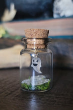 Load image into Gallery viewer, Ghost &amp; Pumpkin Terrarium Homes
