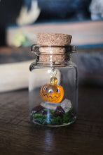 Load image into Gallery viewer, Ghost &amp; Pumpkin Terrarium Homes
