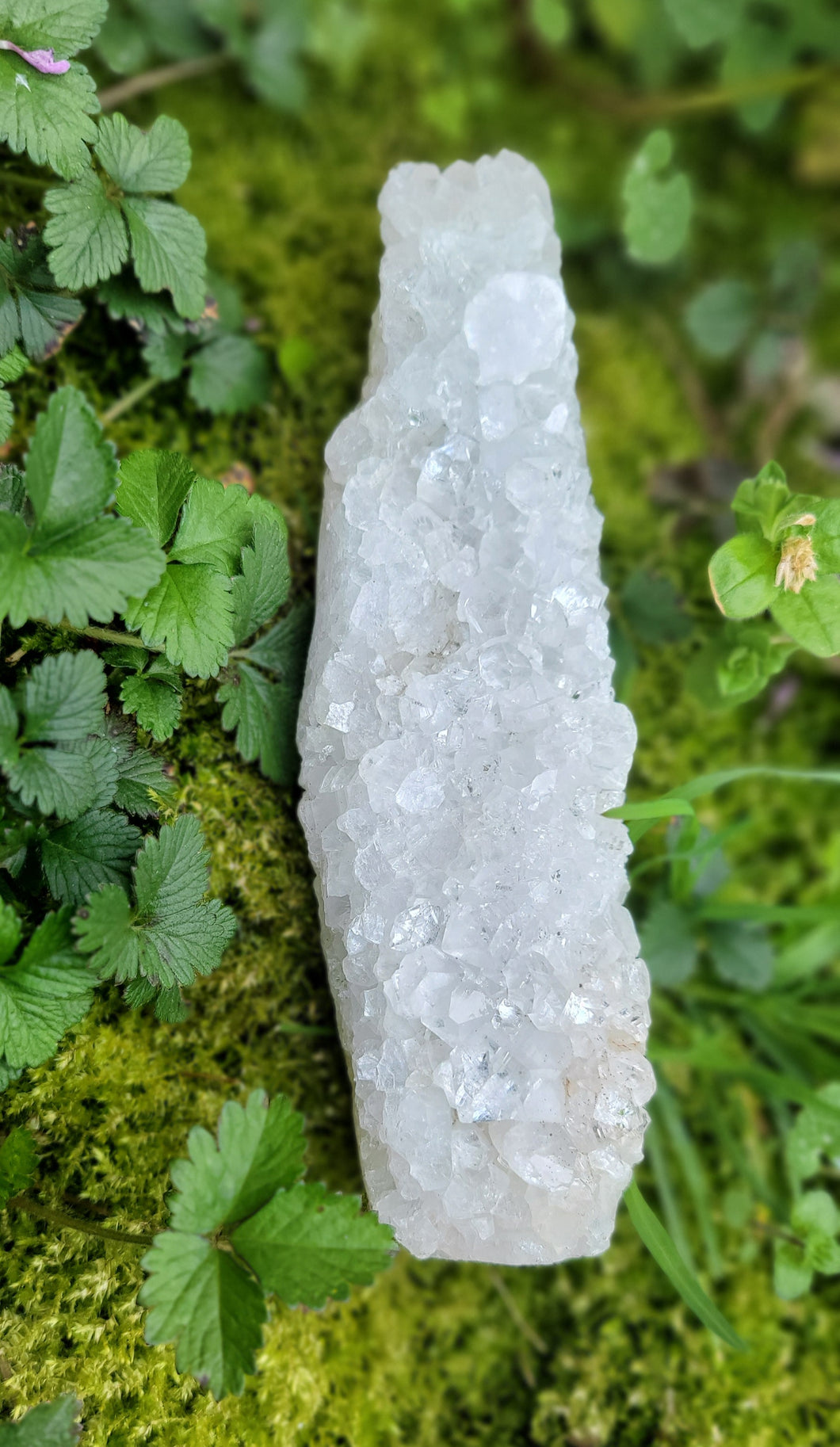 Raw Apophyllite Crystal