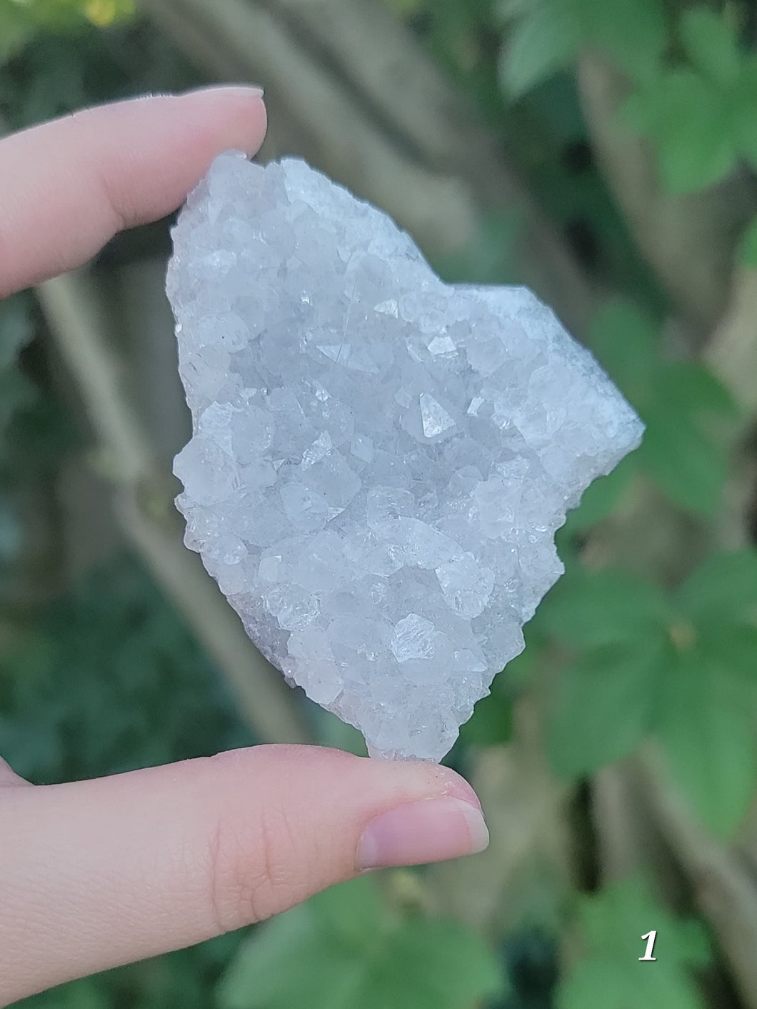 Zeolite Crystals