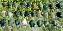 Load image into Gallery viewer, Mini Moss Agate Frogs &amp; Turtles
